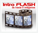 intro flash